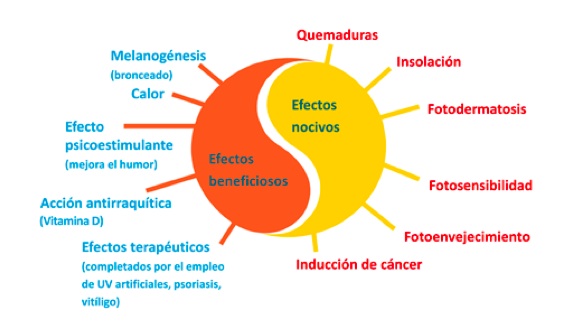 Efectos del Sol en la piel