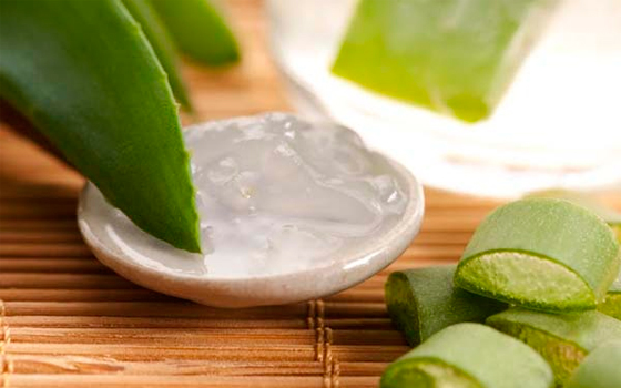 tratamientos con aloe vera