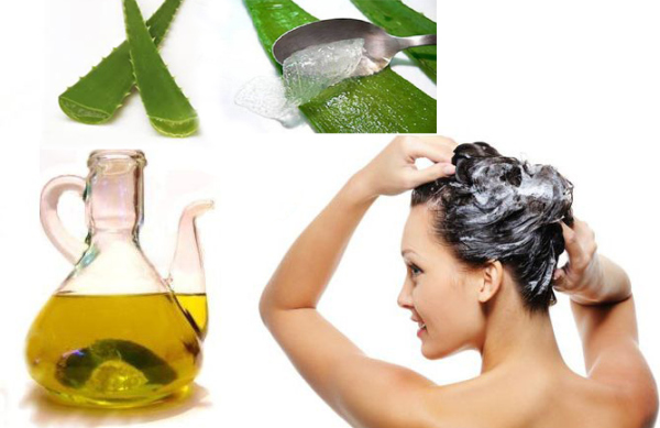 Tratamientos Caseros Para La Caída Del Cabello Dermavida